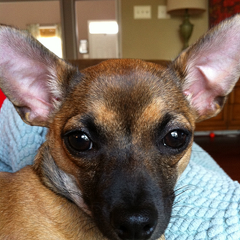 Month in Review and No-Spend July