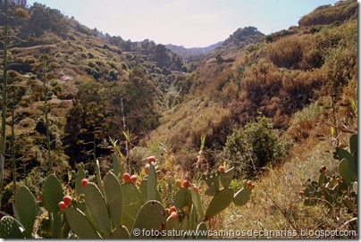 3133 Circular Barranco Propios 3133 Circular Barranco Propios