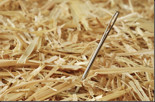 needle haystack