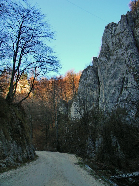 [DSCN14414.jpg]