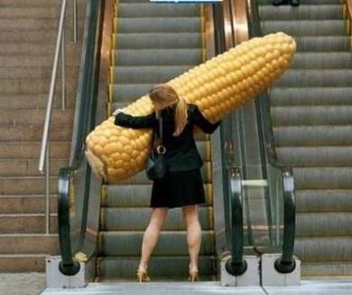 [c52b3f47e4746330daaa5841b90_prev%255B4%255D.jpg]