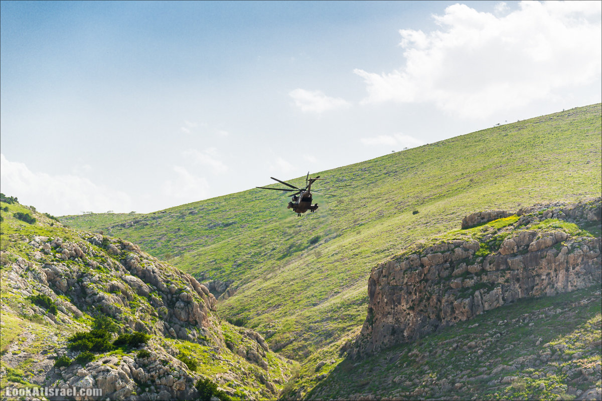 LookAtIsrael.com - Ручей (нахаль) Талкид | Nahal Talkid | נחל תלקיד
