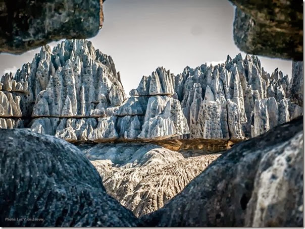 stone-forest-2