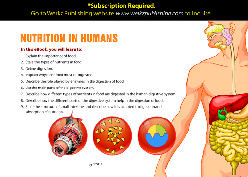 Nutrition in Humans
