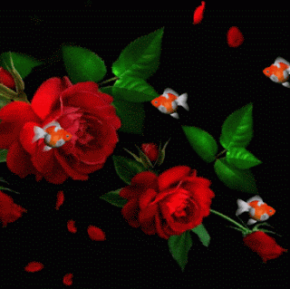 17+07+2013+-+1+%282%29.gif