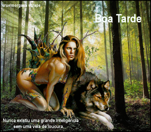 7.gif