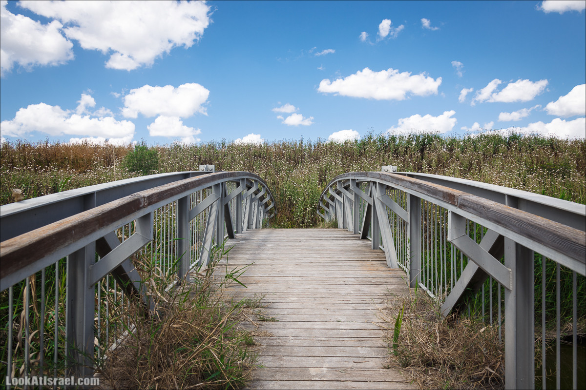 Песах в Долине Родников | Passover in Springs Valley| פסח בעמק המעיינות | LookAtIsrael.com - Фото путешествия по Израилю