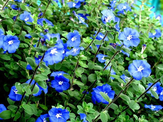 [image%255B15%255D.png]