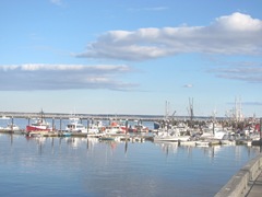 11.2011 boats in Provincetown harbor