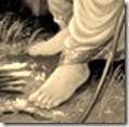 Shri Rama's lotus feet