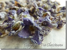 Kandiserede violer