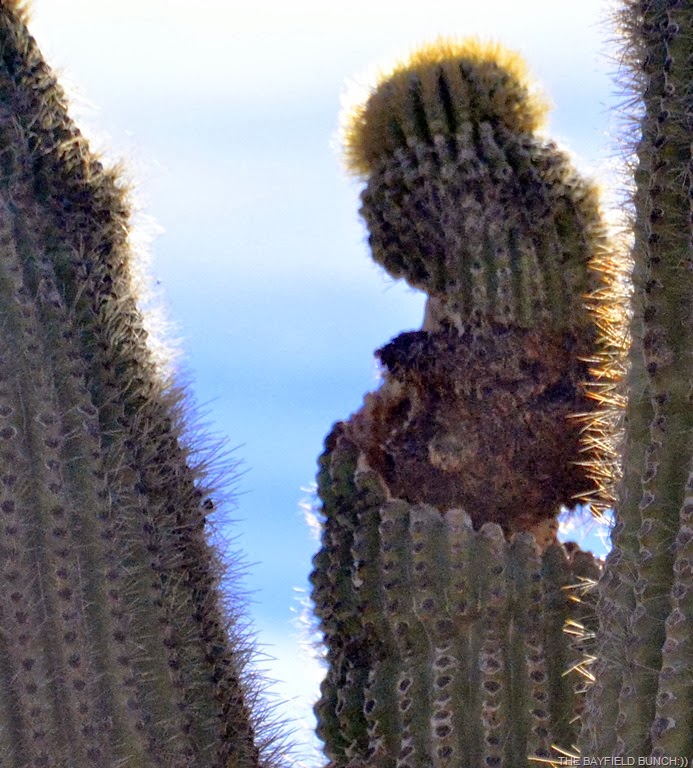 [DSC_0014%255B5%255D.jpg]