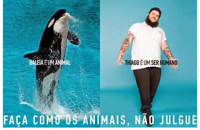 baleia-anuncio
