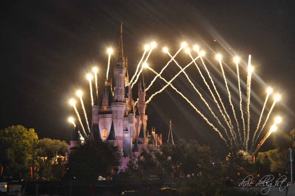 [DSC_0430%255B4%255D.jpg]