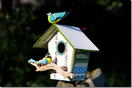 Bird house-008