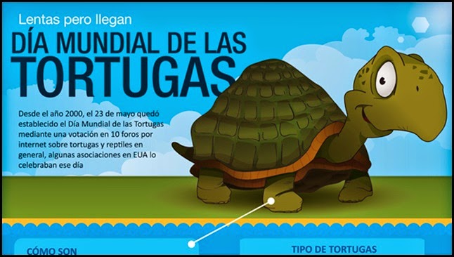 Día mundial de la tortuga