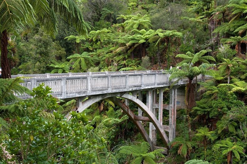whanganui-bridge-nowhere-2