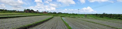 Les rizières sur la route menant au Tanah Lot. DSC_0233.jpg