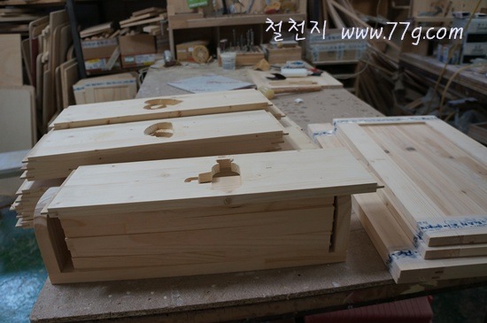 [DSC00955-20120105-2306463.jpg]