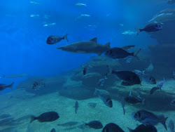 2012-10-20 Mallorca by BREITENGRAD53 - 204