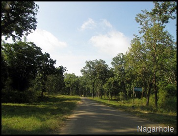 Nagarhole
