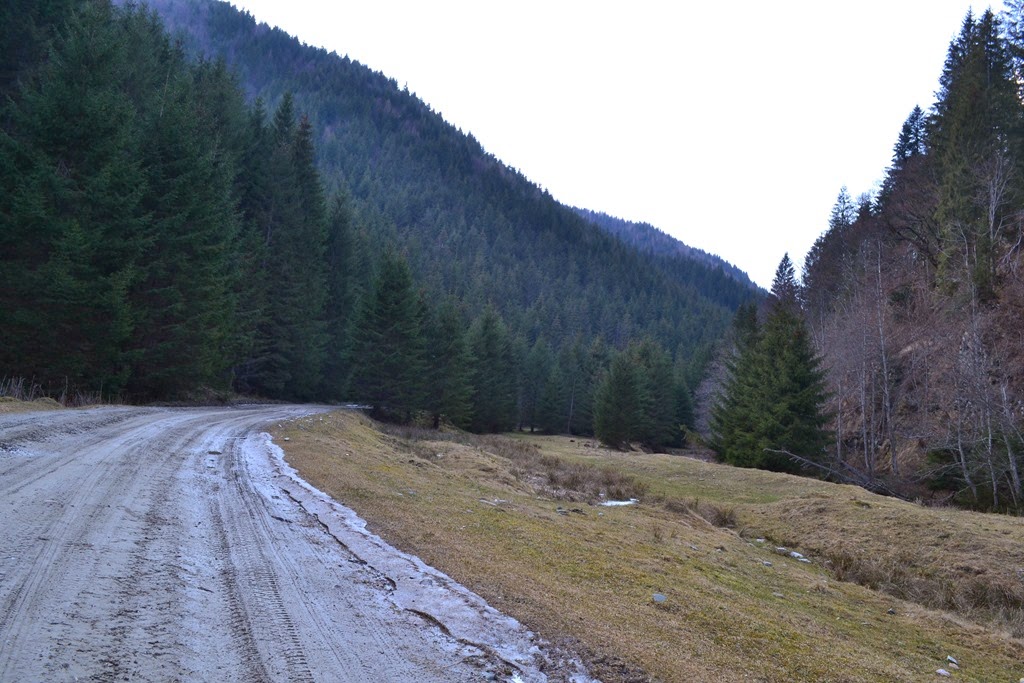 [DSC_55613.jpg]