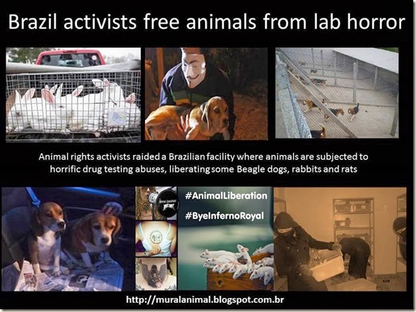 Brazil activists free animals from lab horror