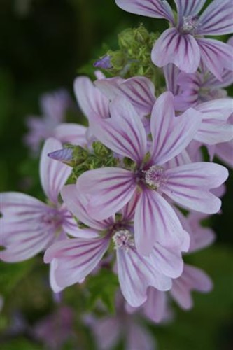 20100601 (2) (Small)