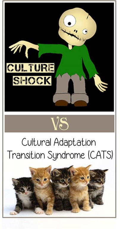 [Culture%2520Shock%2520versus%2520Cultural%2520Adaptation%2520Transition%2520Syndrome%2520CATS%255B10%255D.jpg]