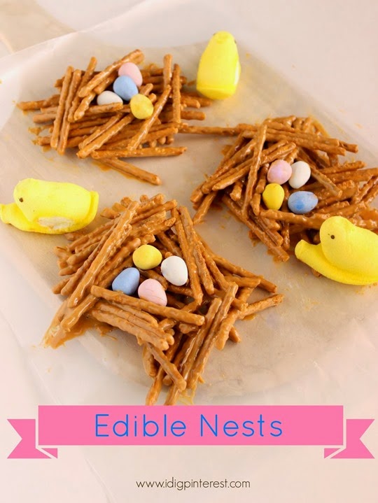 Edible Nests1