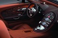 Bugatti-Veyron-Grand-Sport-Venet-11