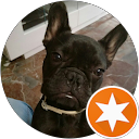 FERNANDO profile picture