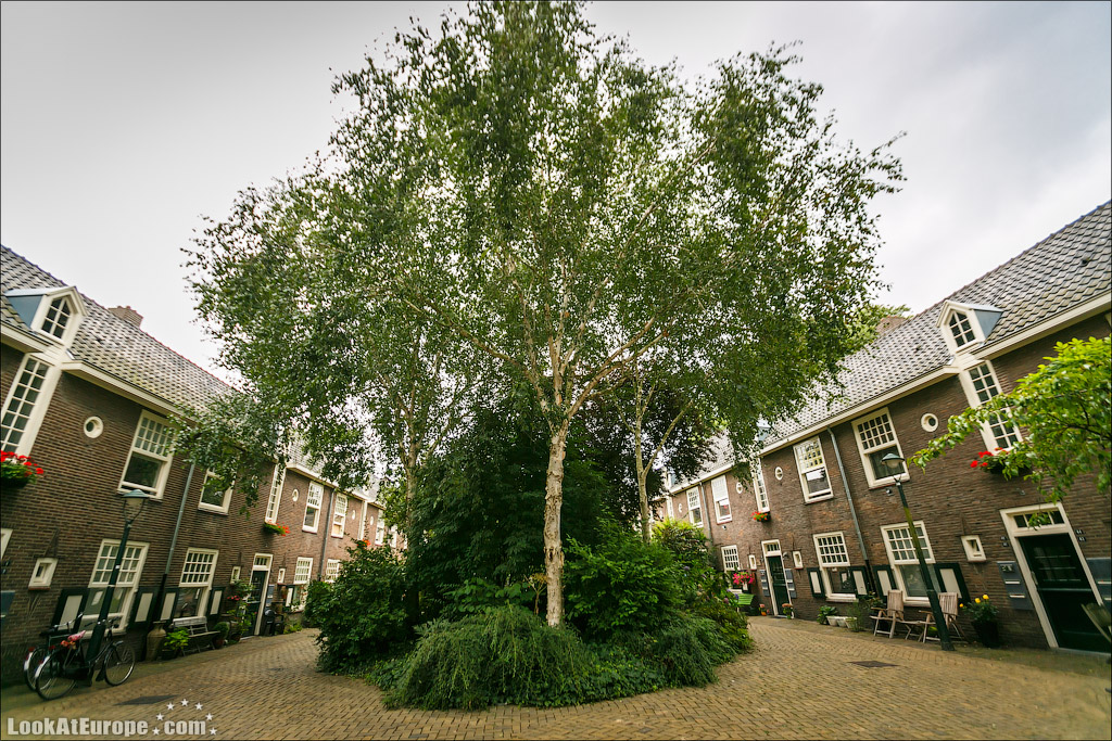 LookAtEurope.com - Город с трудным названием Хертогенбос | Holland, Hertogenbosch