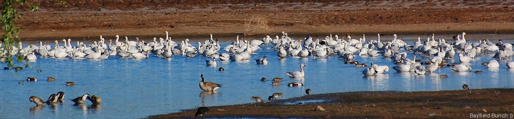 [DSC_3345%255B3%255D.jpg]