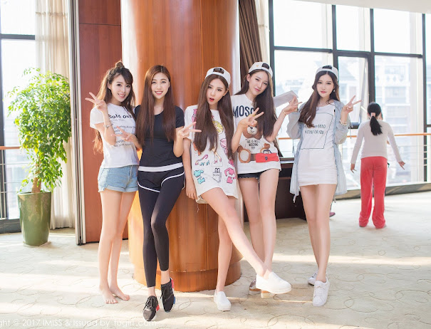 IMISS Vol.158 various models