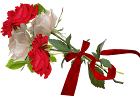 flor%2520184.png