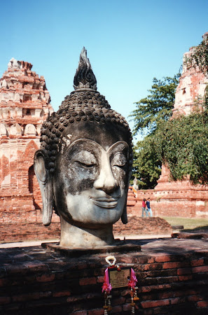 Statuie Ayutthaya: capul lui Buddha