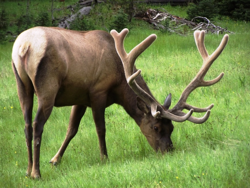 [DSCF9306%2520-%2520Kopie%255B4%255D.jpg]