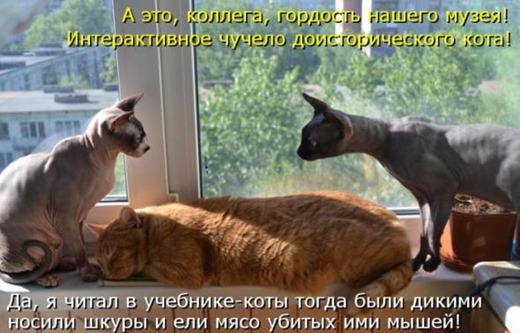 [a1a77970cb21534719e7a7586ad_prev%255B3%255D.jpg]