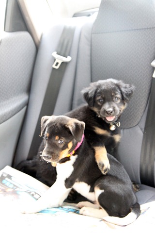 [IMG_0163%255B4%255D.jpg]