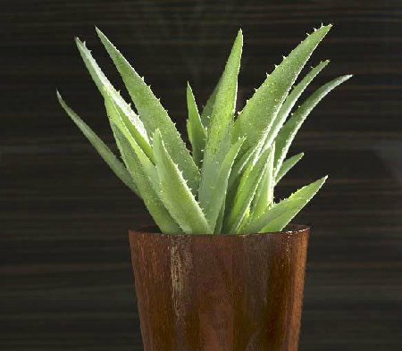 [image%255B29%255D.png]