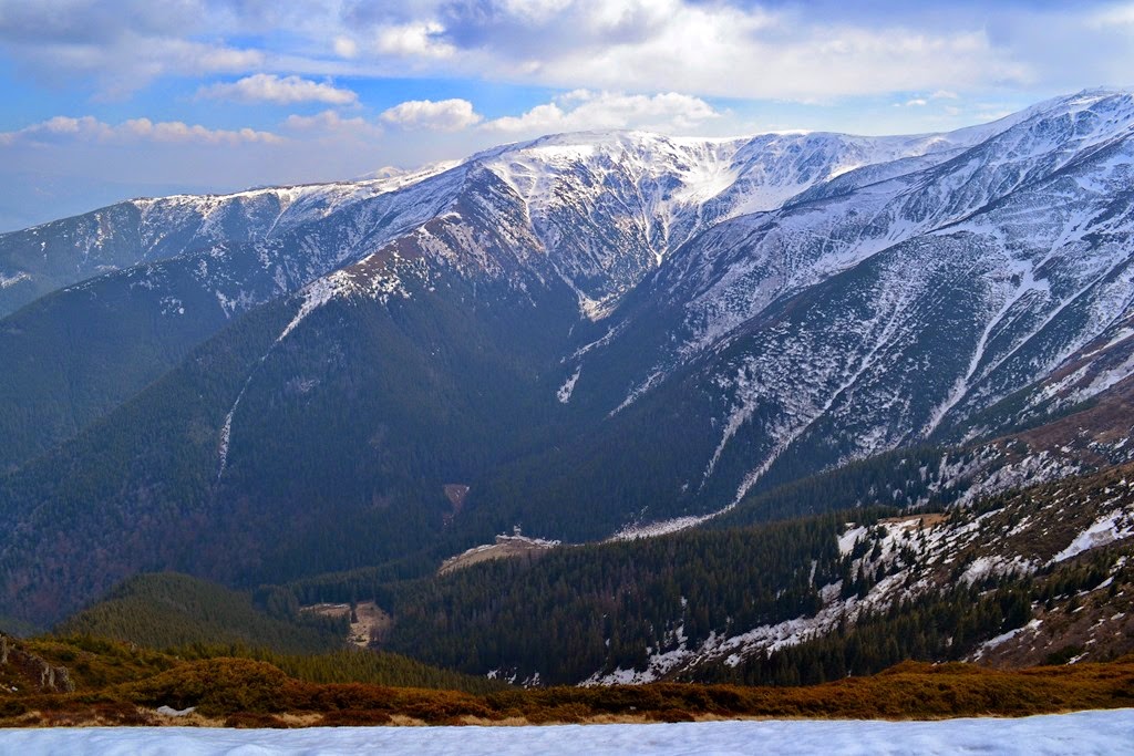 [DSC_67023.jpg]