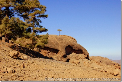 3595 Juncal-Roque Cofre 3595 Juncal-Roque Cofre