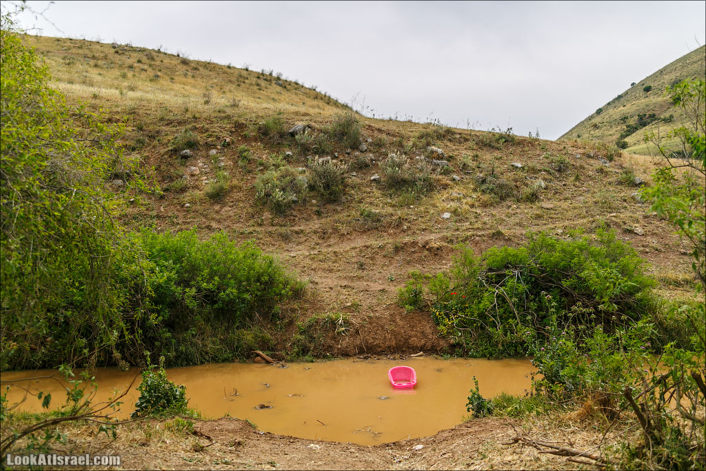 LookAtIsrael.com: Фото-блог о путешествиях по Израилю. Тель Авив, Иерусалим, Хайфа Во время переправы случилась трагедия! ТРАГЕДИЯ!В этой точке мы свернули и зашли в каньон Базелет, по которому бежит ручей Тавор 