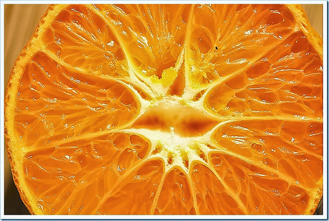 orange-free-pictures-1 (752)