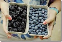 blueberries_blackberries
