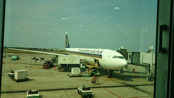 DSC_0540 DSC_0540