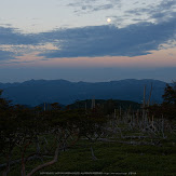 大台ケ原,9月(PK3_9854,F8,28mm,K3)2014yaotomi_.jpg