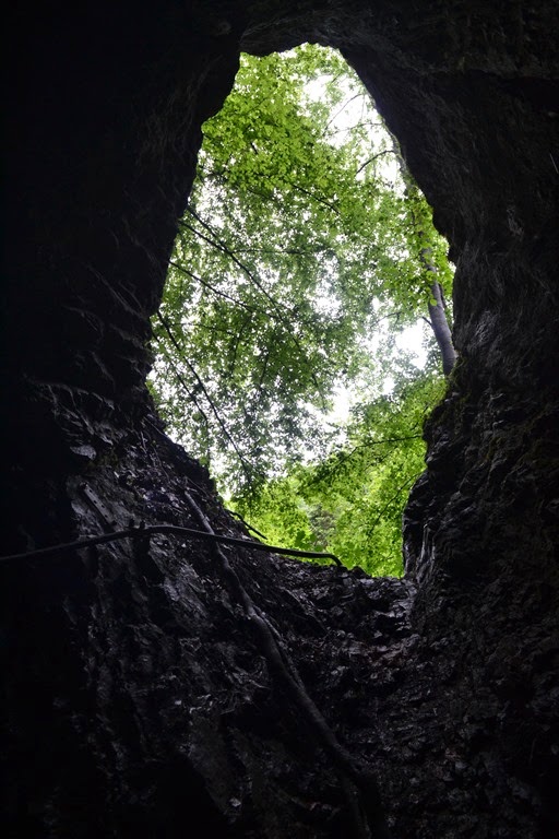 [DSC_03414.jpg]