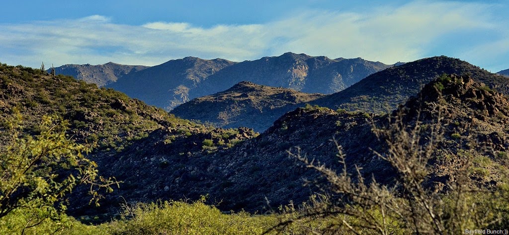 [DSC_0002%255B7%255D.jpg]